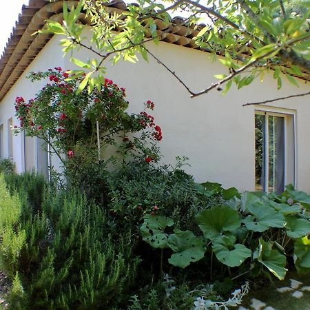 Villa Le 275 à La Colle-sur-Loup Extérieur photo